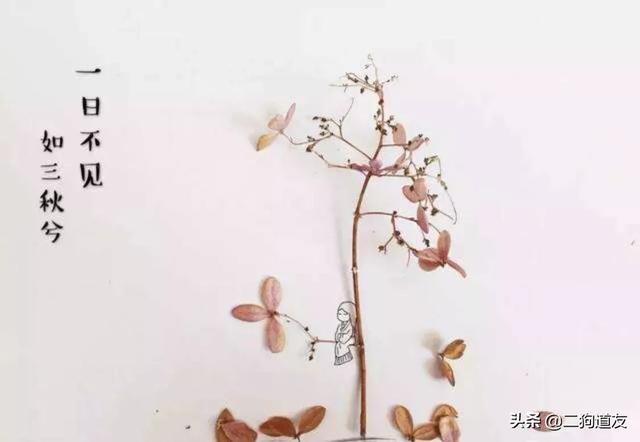 诗经中的有深度名句（诗经中一些名句）