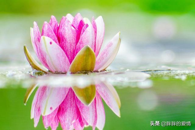 最经典的一句人生哲理_最经典的一句人生哲理句子
