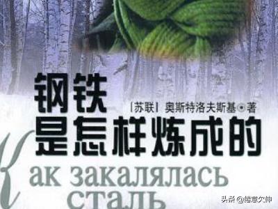 钢铁是怎样炼成的读后感200字左右