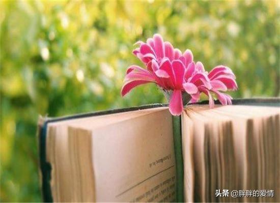 教育励志格言_教育励志的句子经典语句长句
