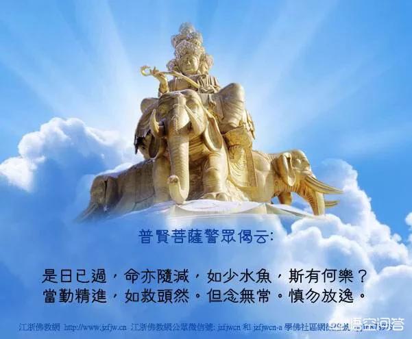 佛教经典偈语100句_300句佛教偈语