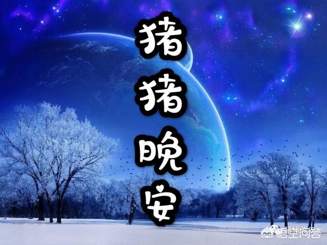 给对象睡前故事大全_给对象睡前故事大全长篇