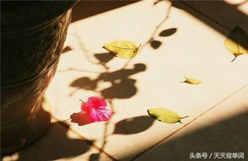 100句人生箴言（人生箴言大全）