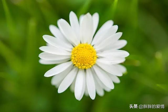 工作心语正能量句子_工作正能量说说心情的句子