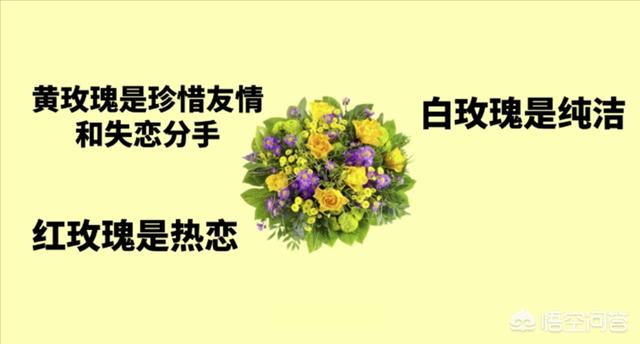 中国情人节图片（中国情人节图片大全情人节祝福语）
