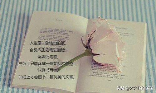 优美语句20字（十句优美语句20字以上）