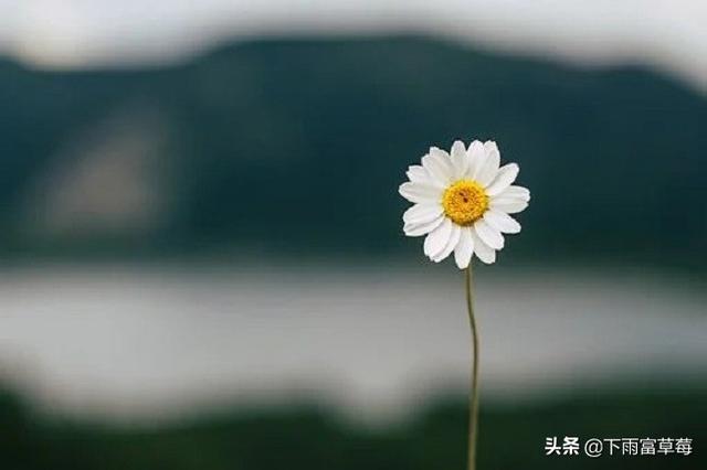 名言警句英语版带翻译（名言警句英语版带翻译）