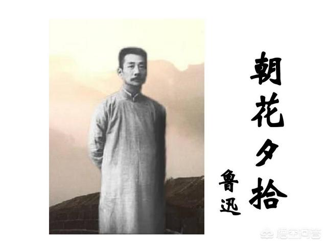 朝花夕拾读书心得（朝花夕拾的读书笔记五篇）