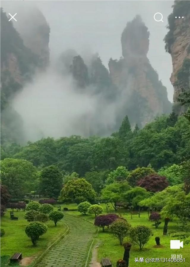 唯美的句子 诗意（唯美的句子诗意）