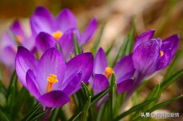 500句人生哲理句子（500句人生哲理句子汇）