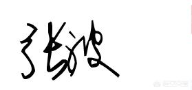 签名设计 姓名（签名设计 姓名赵）
