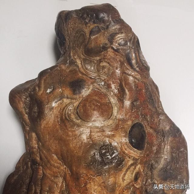 孔子的思想核心是仁还是礼（孔子的思想核心为）